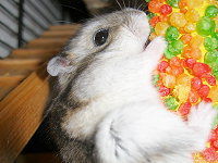 06122201sm.jpg